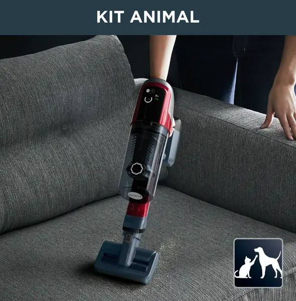 Aspirateur balai ROWENTA chien et chat