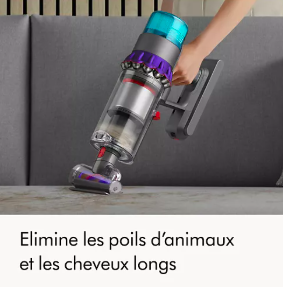 Aspirateur balai dyson chien et chat
